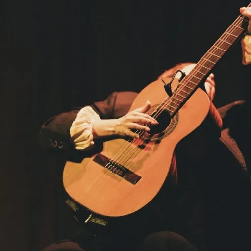 Spanish Guitar