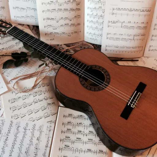 Guitar